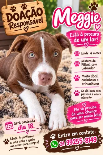 Doação responsável 