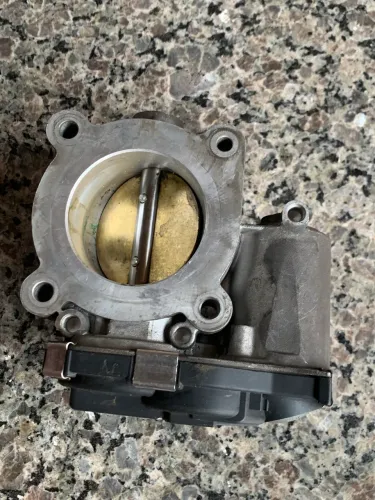Corpo de borboleta