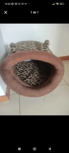Casina de gato de abelha