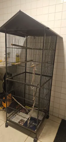Viveiro para passarinhos
