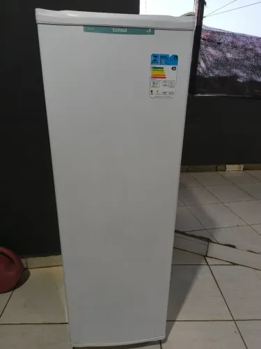 Freezer vertical consul