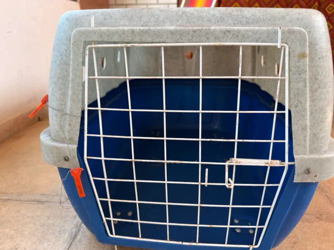 Caixa transporte pet