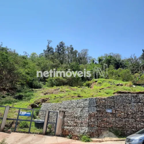 Venda Lote-Área-Terreno Mangabeiras Belo Horizonte