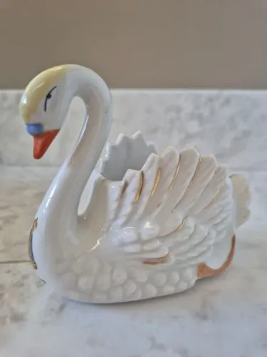 cisne nossa senhora aparecida