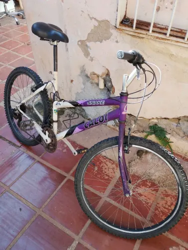 Bicicleta caloi