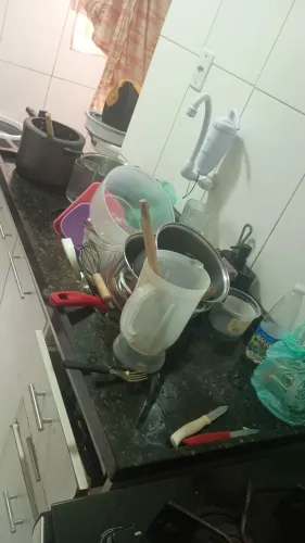 Vamos Organizar a casa