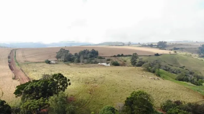 390 Alqueires fazenda estrutura top porteira fechada animais de alta genética