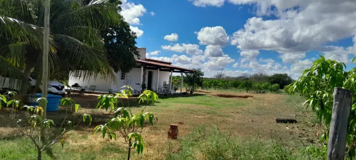 Roça na estrada da tapera