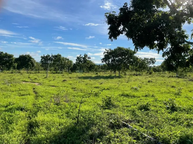Sitio de 7 hectares na região barreiro branco no município de Nossa Senhora do L