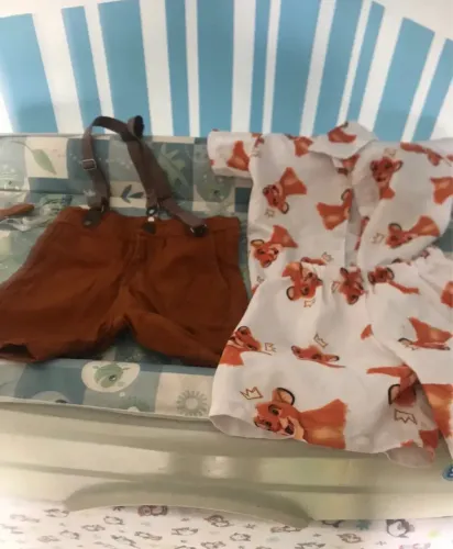 Conjunto temático rei leão