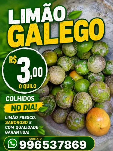 Limão 