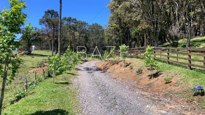 TERRENO RURAL em CAMPO ALEGRE - SC, São Miguel