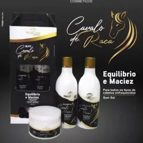 Kit cavalo de raça