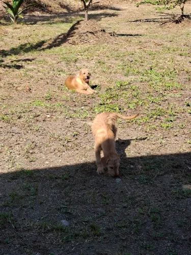 Lindo terreno pra sítio