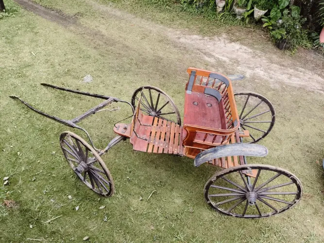 Carruagem linda peça reliquia