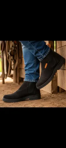 Bota