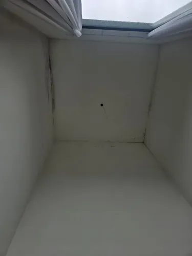 Remoção de mofo com ozônio ZAP *