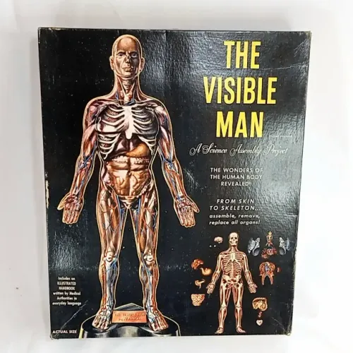 Antigo KIT - VISIBLE MAN ou Homem invisível para montar - Caixa Original