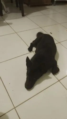 Doação 