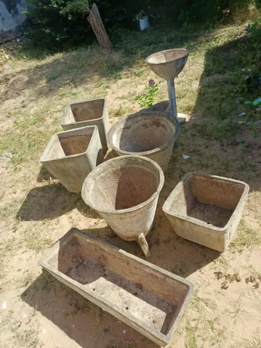 Vasos de plantas