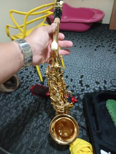Sax alto koning