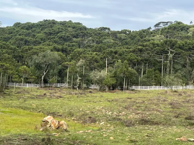 Sítio São Joaquim SC- próx. Vinícola Pericó.
