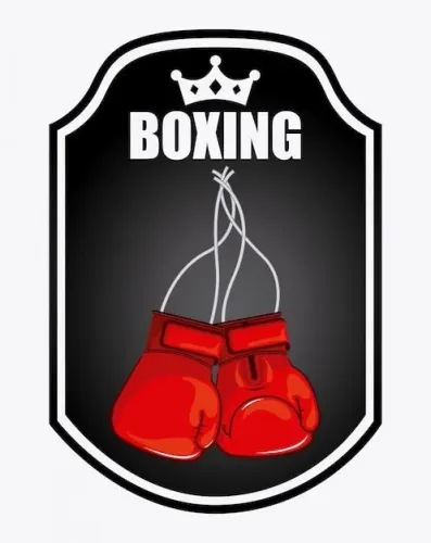 Aulas de Boxe e Defesa Pessoal, à domicílio e condicionamento físico.