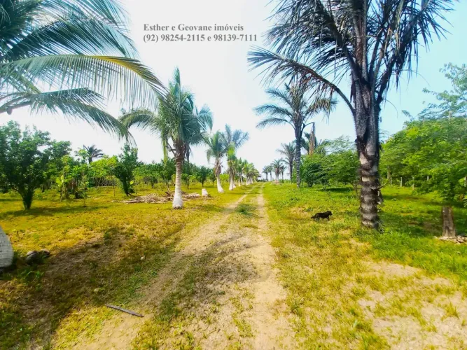 Lote Terreno Sitio Chácara Ramal 28 de Agosto Iranduba 38.200m² Igarapé Rio Lago/Financia