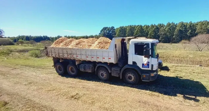 Scania p94 8x4 caçamba