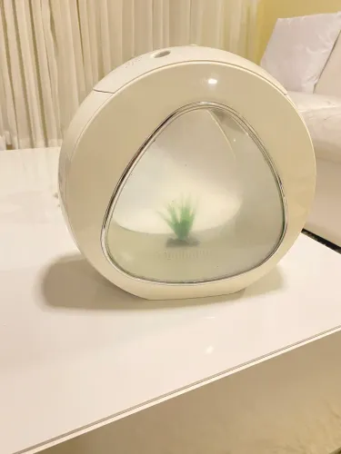 Aquário sun sum