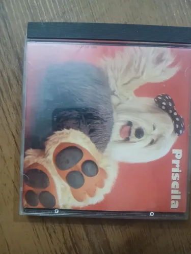 Cd novo Priscila Tv Colosso Som Livre