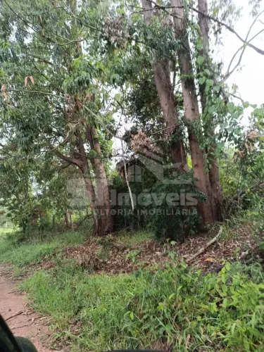 Fazenda para venda possui 100 hectares em Tapiraí MG com uma parte plantada eucaliptos