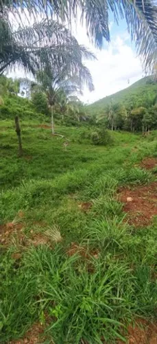 Fazenda em Aparecida do Rio Negro. 67 mil o alqueire.