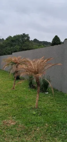 Terrenos Curitiba Localização Perfeita Butiatuvinha St Fel