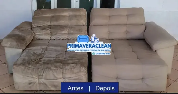 Primavera clean