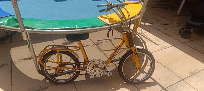 Bicicleta berlineta aro 16