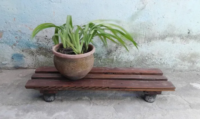 Mesa Plataforma Baixa Em Madeira - Com 4 Pés Removíveis (100 Cm X 30 Cm X 14 Cm)