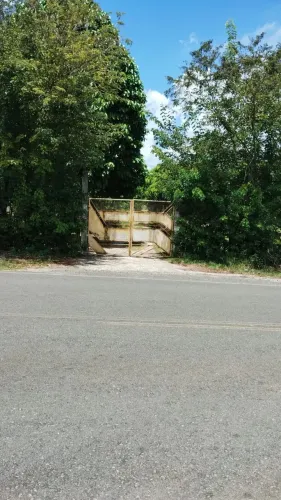 Fazenda de 115000 metros em Encarnacão de Salinas da Margarida - BA