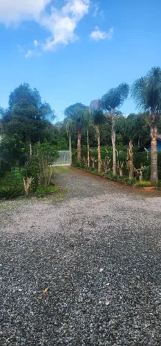 Chácara a venda na Roseira divisa de Colombo/ Campina Grande do Sul