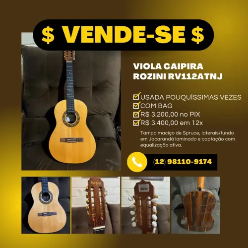Viola Caipira Rozini