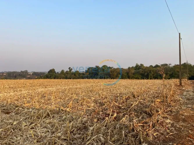 Chácara-Imóvel-Rural à venda por R$ 5500000.00, .00 m2 - RECANTO DO SALTO - LONDRINA/PR