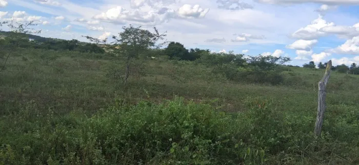 Terreno zona rural