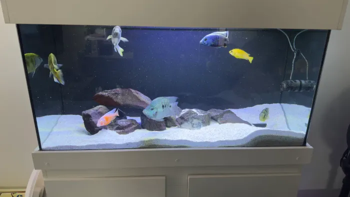 Aquário Completo 200 Litros - Sump + UV + Equipamentos