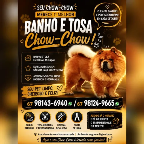 Banho e Tosa Chow Chow. 