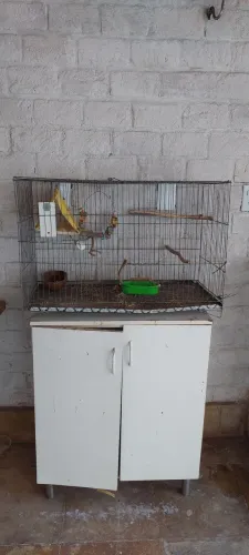 Gaiola de calopsita com acessórios.