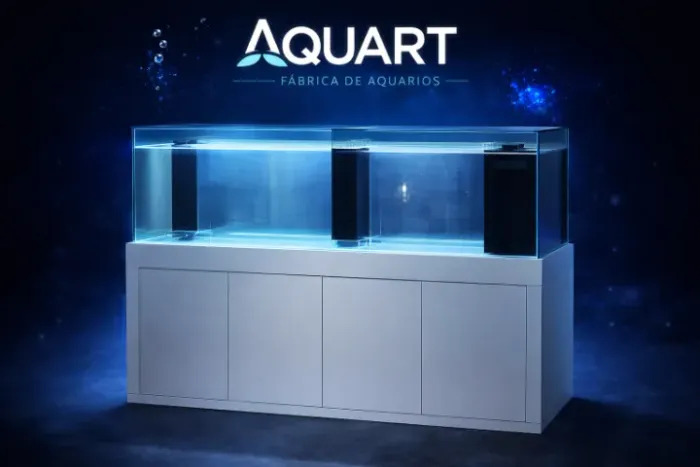 Aquário 200x60x60 em vidro 12mm - Aproximadamente 720L COMPLETO 