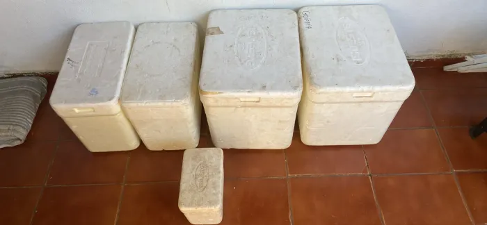 Caixa térmica de isopor (só vendo todas juntas)