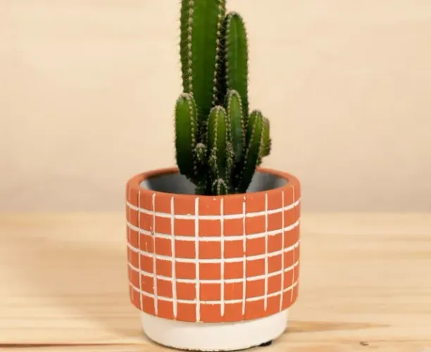 Vaso Grid P Terracota