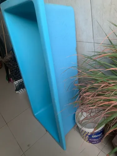 Animais de estimação
