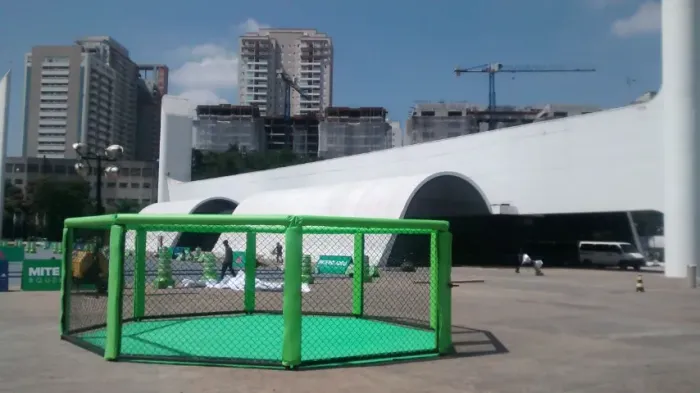 Ringue Octógono Para Artes Marciais Mistas E Treino Mma